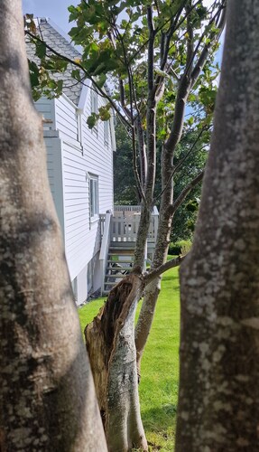 Attraktives Ferienhaus am Atlantik was Will man Mehr!