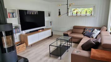 Smart TV, fireplace, DVD player, books
