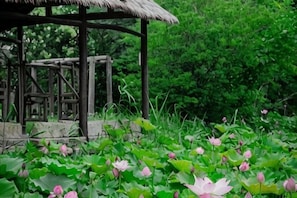 A gazebo with a thatched roof surrounded by lush greenery and blooming lotus flowers. - Wuzhen Xizha Jiurige Homestay (Tongxiang)