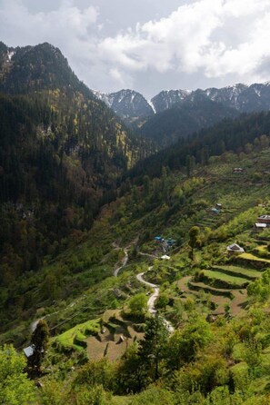 View from property - Raila Home Stay (Sainj)