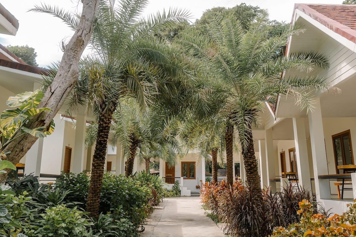 A covered outdoor area with palm trees and a pathway leading to a building entrance.