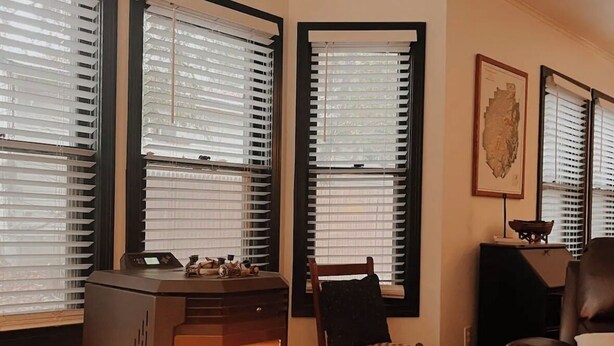A cozy living room with a wood-burning stove, two windows with blinds, a framed picture on the wall, and a leather chair.
