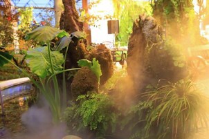 Un exuberante jardín interior con diversas plantas y un elemento acuático.