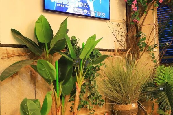 Televisão fixada na parede, um vaso com planta e parede com superfície texturizada.