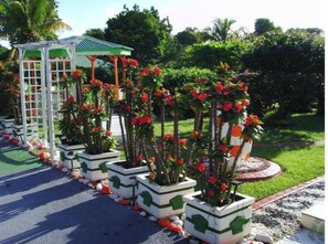 Jardines del alojamiento