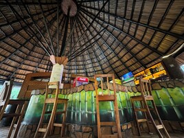 Bar junto a la piscina