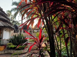 Un jardin tropical avec une maison en pierre, des palmiers et une structure surmontée d’un toit de chaume.