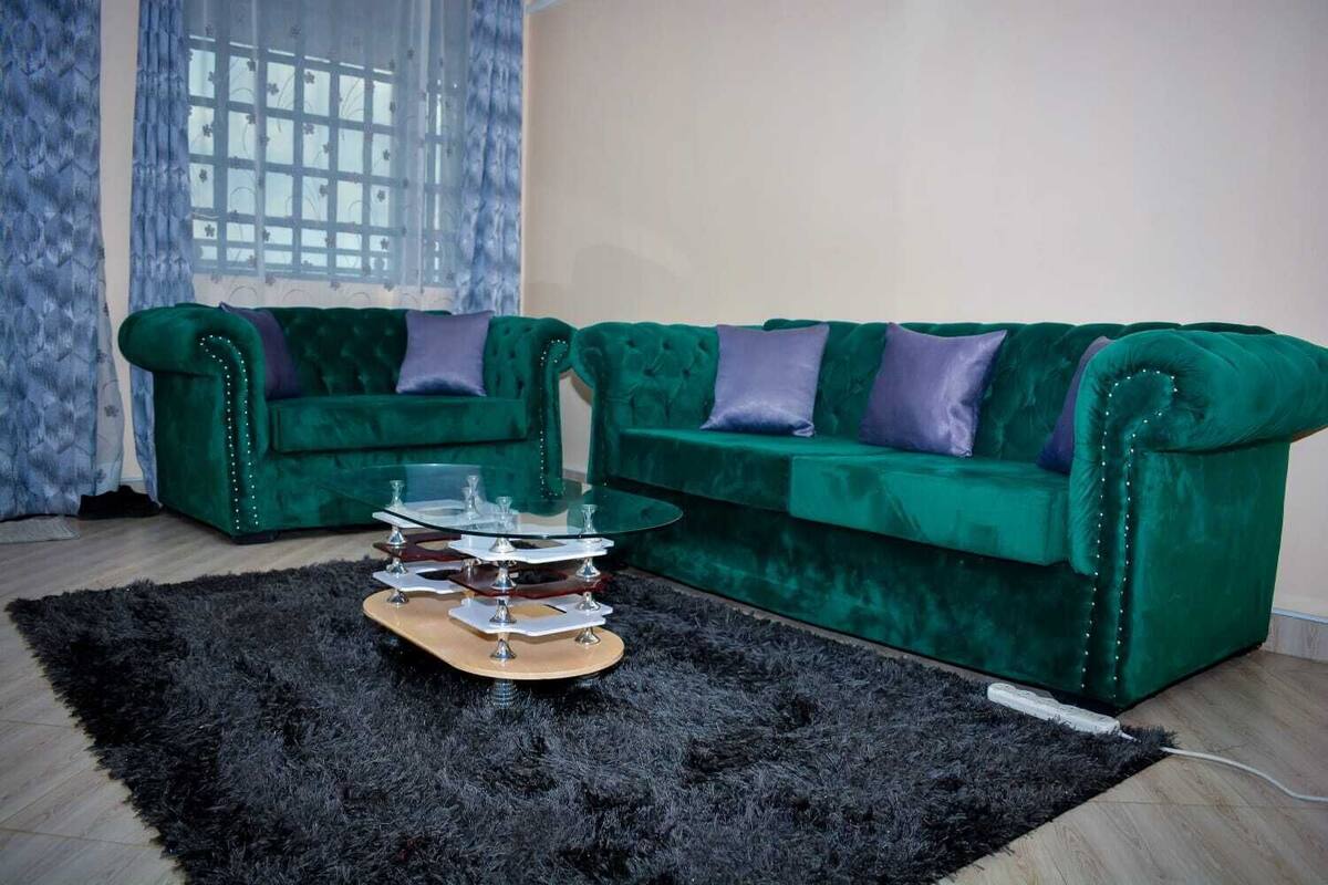 Une pièce comprenant deux canapés en velours vert avec des coussins violets, une table basse en verre et un tapis à poils longs noir.