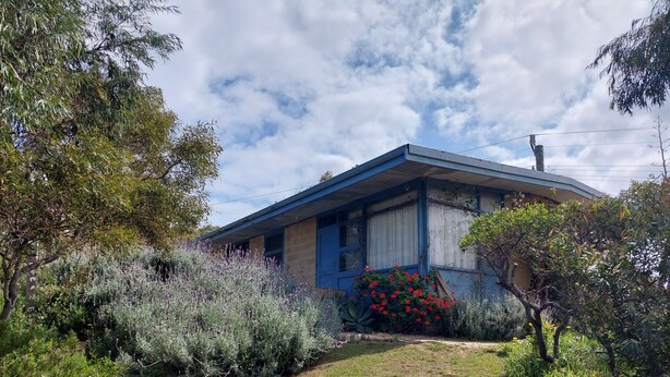 A house with a blue roof and white walls, surrounded by dense vegetation and a small lawn. - Moorestone- Back to Yesteryear (Guilderton)