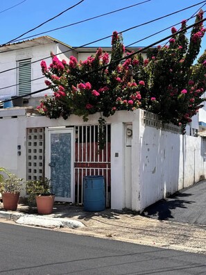 Exterior
