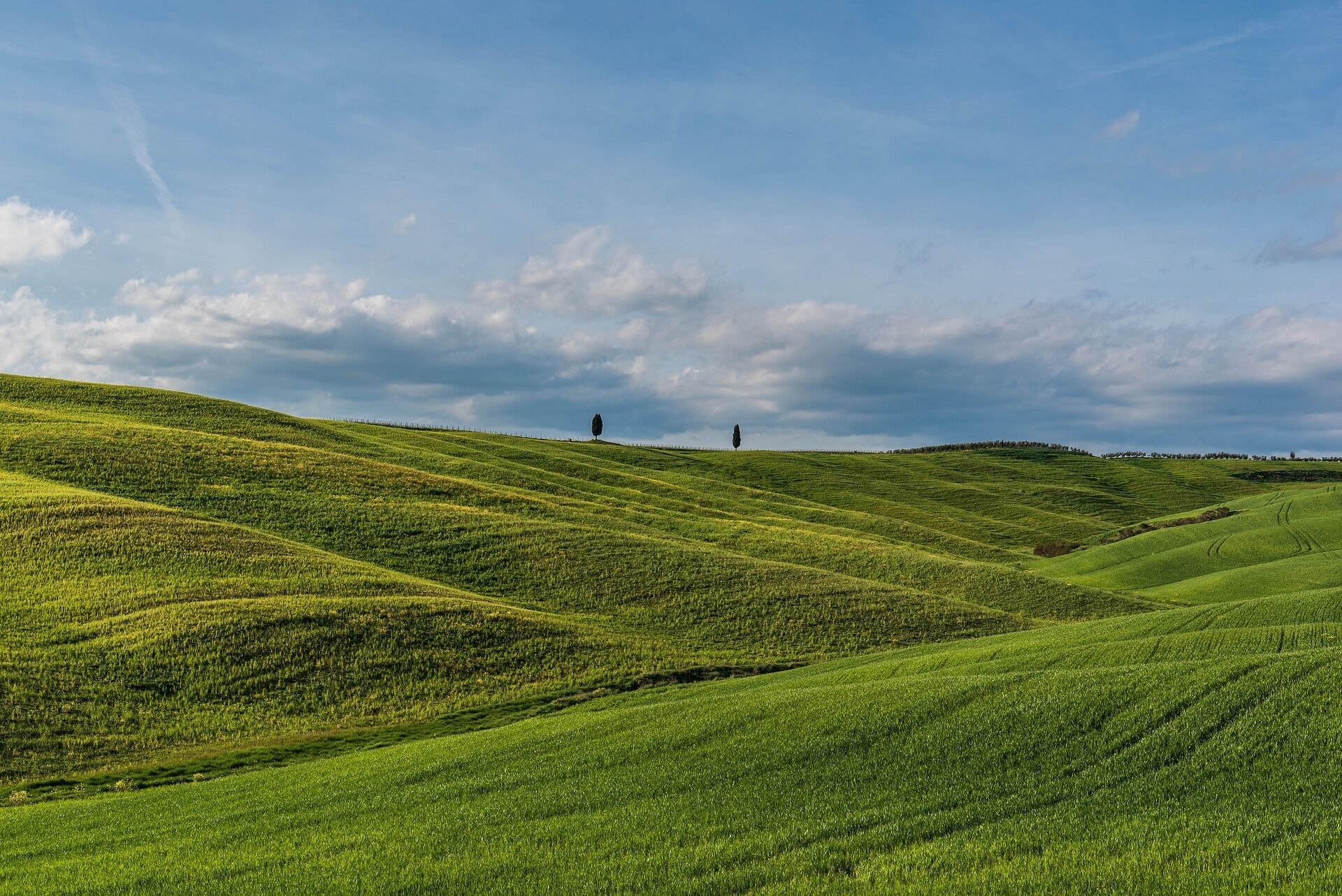 Rolling green hills with a clear sky.