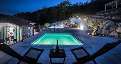 Villa Lapis in Buzet