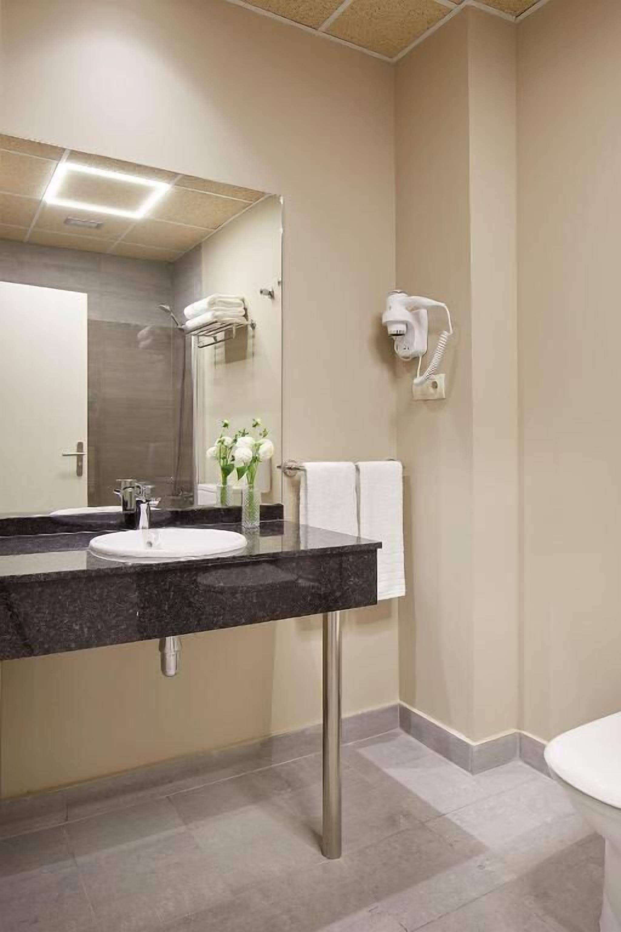 Een moderne badkamer met een grote spiegel, een wastafel, een handdoekhouder en een haardroger aan de muur.