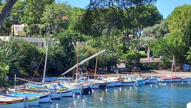 A marina with several boats docked, surrounded by trees and buildings. - 2 ROOM APARTMENT NEAR THE SEA AND PINES OF JUAN-LES-PINS (Antibes)