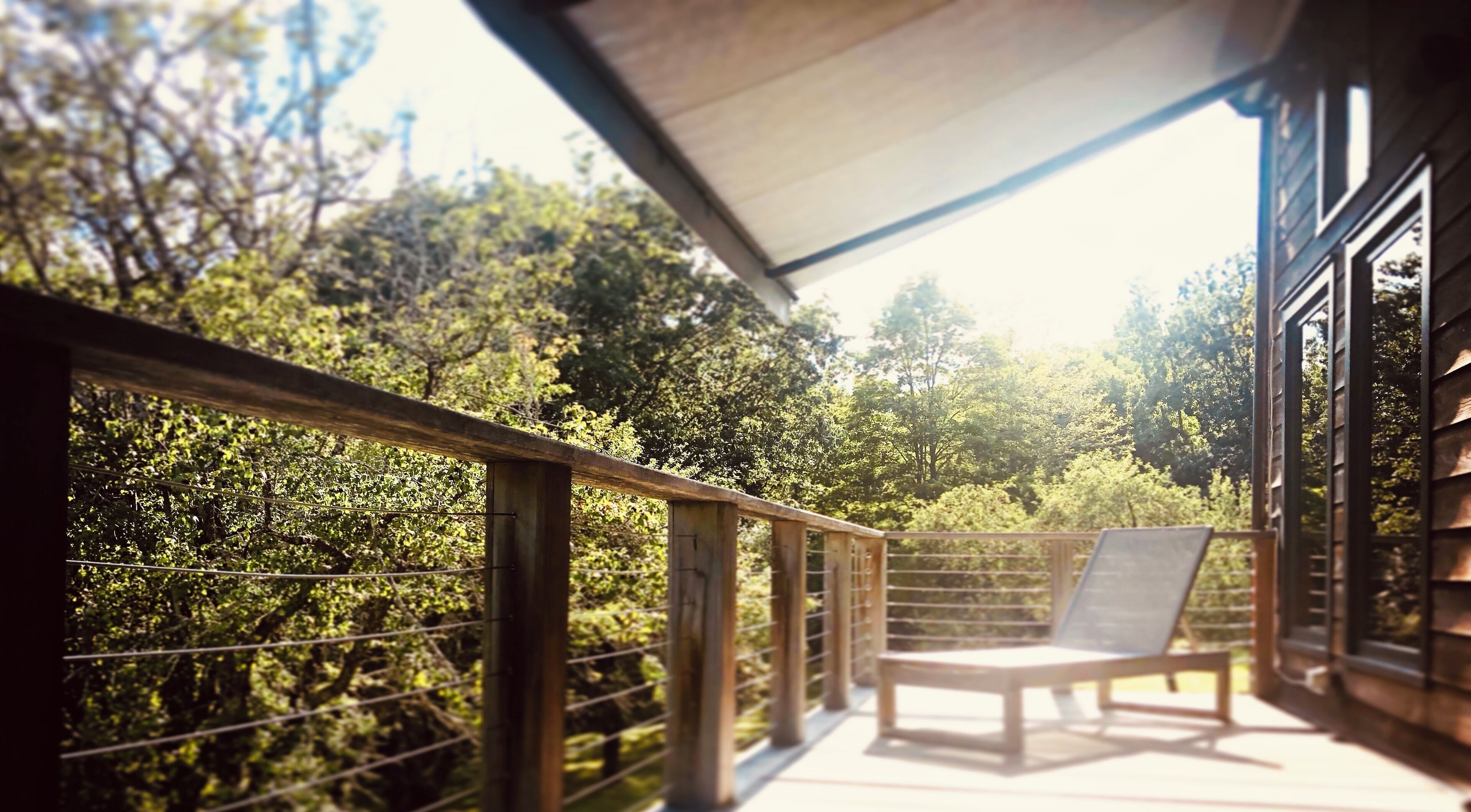 Eine Holzterrasse mit einem einzelnen Stuhl, umgeben von einem Metallgeländer, mit Blick auf einen dichten Wald.