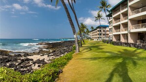 Un hotel frente a la playa con césped, palmeras y vistas al océano.