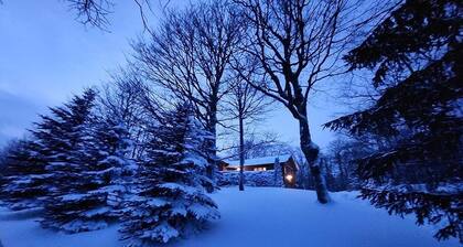 Cozy chalet, minutes from Blue Mountain, wood-burning stove, fully renovated.