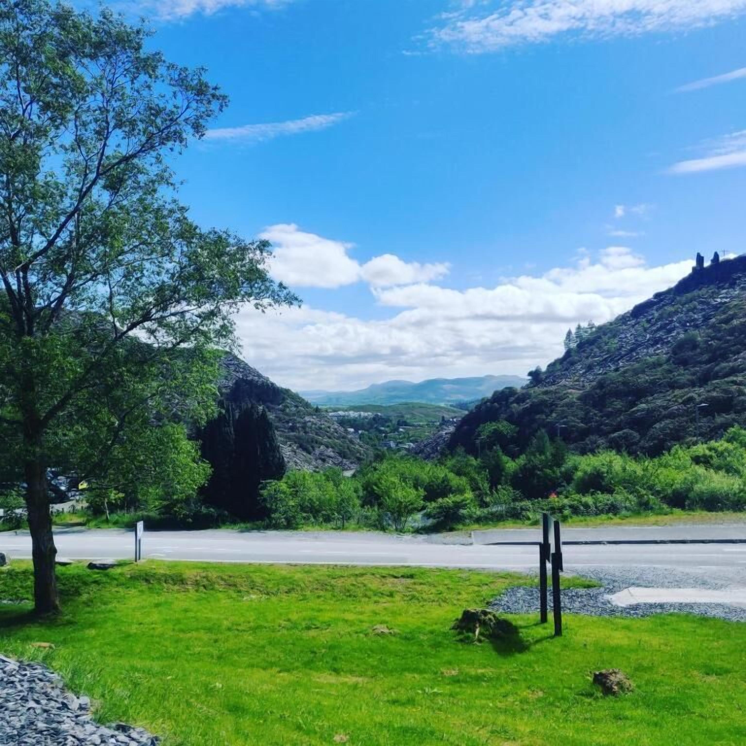 A rural landscape with a road, grassy areas, and a tree.