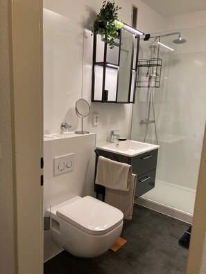 Dusche, Haartrockner, Handtücher, Seife
