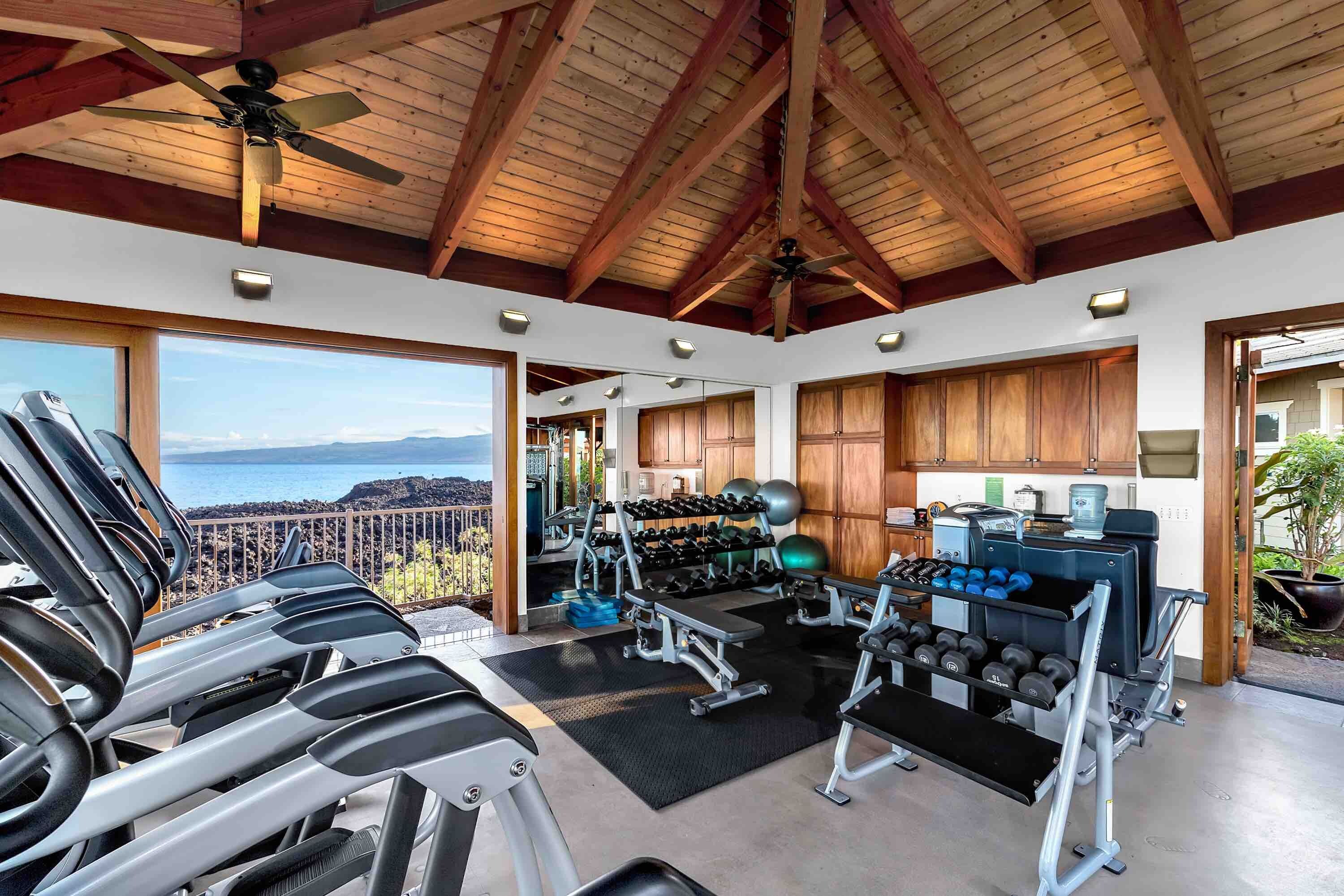 A gym with treadmills, weight machines, and exercise balls, overlooking a scenic view.