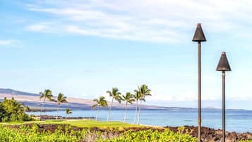 The view from Hali‘i Kai offers a symphony of nature—palm trees swaying, waves rolling in, and the horizon dancing in the distance.