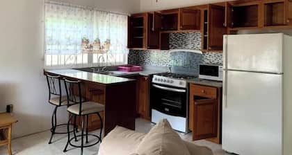 Spacious 2-bedroom apartment with AC, WiFi in St. Peters