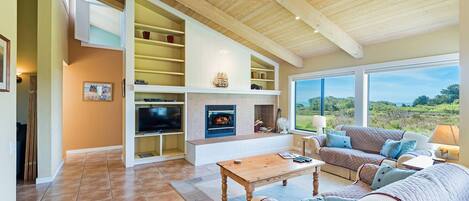 Télévision, cheminée, lecteur de DVD, livres