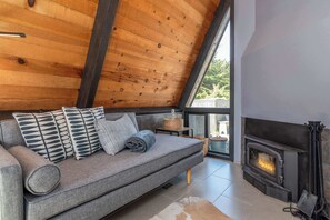 Télévision, cheminée, lecteur de DVD