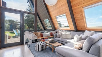 Televisión, chimenea y reproductor de DVD