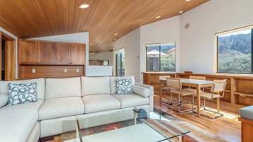 TV, fireplace, DVD player