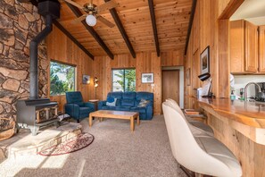 TV, fireplace, stereo - Albatross House | Ocean View | Hot Tub (Sea Ranch)
