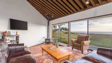 TV, fireplace, DVD player