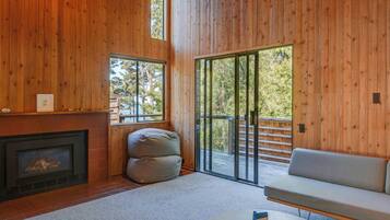 TV, fireplace, DVD player, stereo