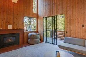 Télévision, cheminée, lecteur de DVD, chaîne hi-fi