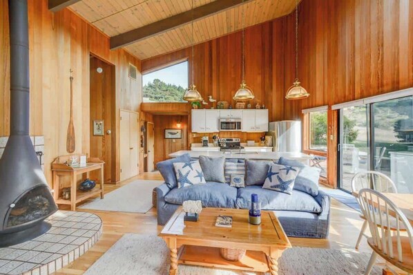 Télévision, cheminée, lecteur de DVD