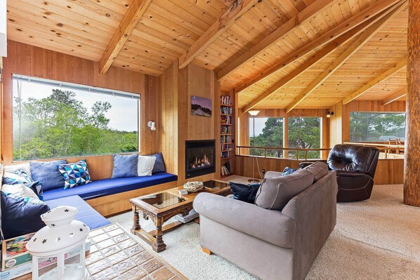 Télévision, cheminée, lecteur de DVD, chaîne hi-fi