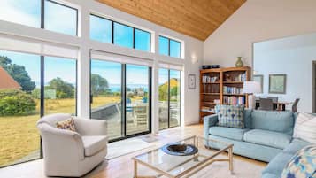 TV, fireplace, DVD player