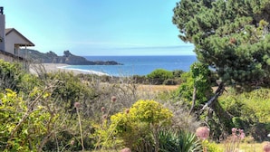 A coastal view with a house, beach, and dense vegetation. - Lucky Ewe - Gualala | 3BR | Ocean Views | Sleeps 6 (Gualala)