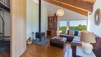 TV, fireplace, DVD player