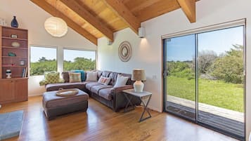 TV, fireplace, DVD player