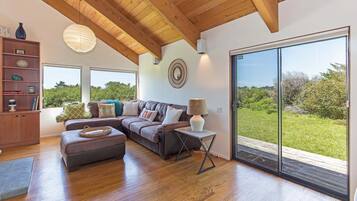 TV, fireplace, DVD player, books