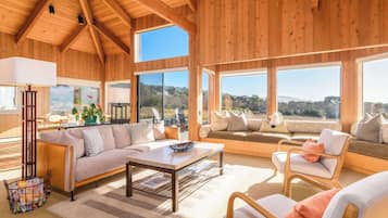 Televisión, chimenea y reproductor de DVD