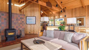 Televisión, chimenea y reproductor de DVD