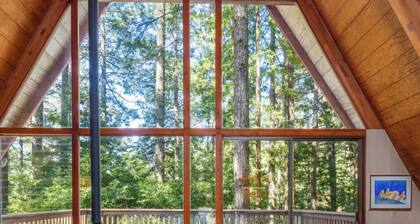 Star Nest | Secluded Forest Property