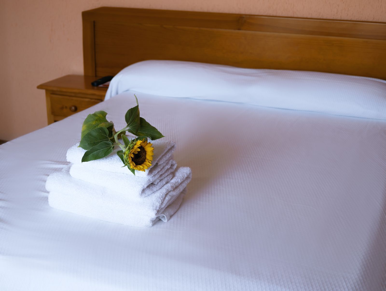 Laptop workspace, iron/ironing board, free WiFi, bed sheets