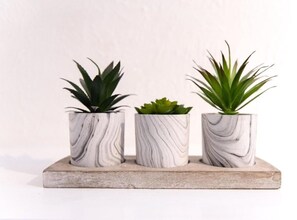 Detalle del interior