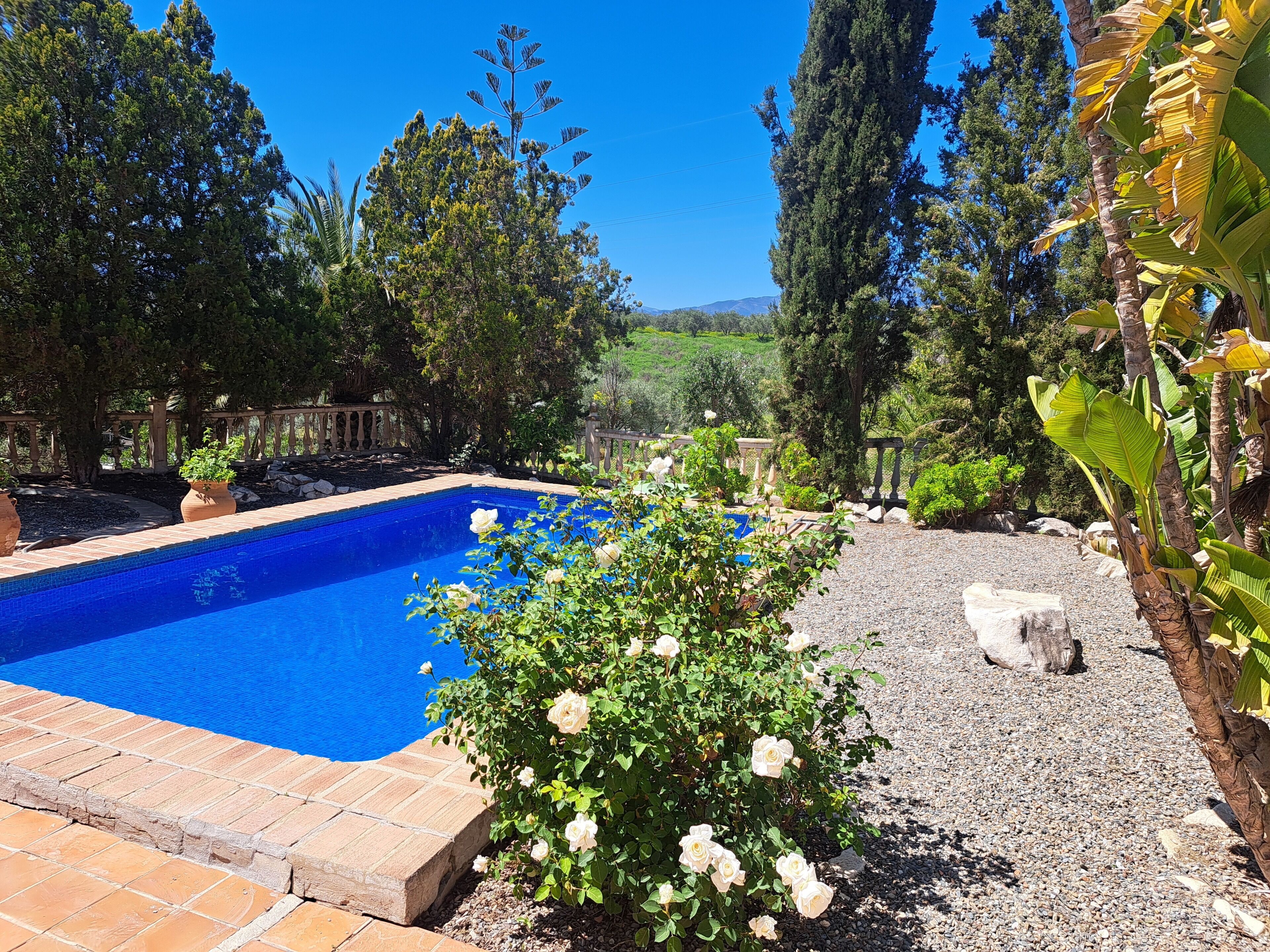 Piscine extérieure
