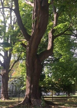 صورة غير مصنفة، 5 من 30، زرّ