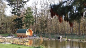 A wooden cabin with a green roof near a pond, surrounded by trees and a grassy area. - Naturferienhof Märkisch Luch - Trapphenne (Märkisch Luch)
