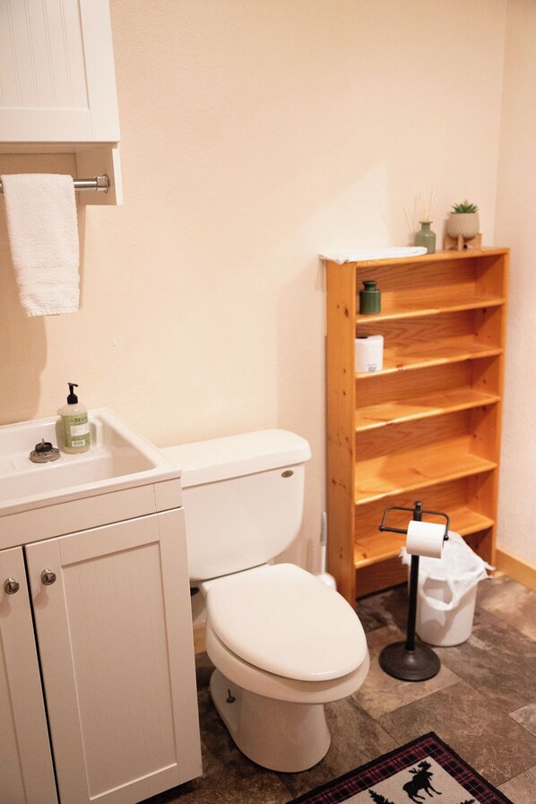 A bathroom with a toilet, a sink, a wooden shelf, and a rug. - Roosevelt Suite, The Roosevelt Suite at the Lodge (Story)